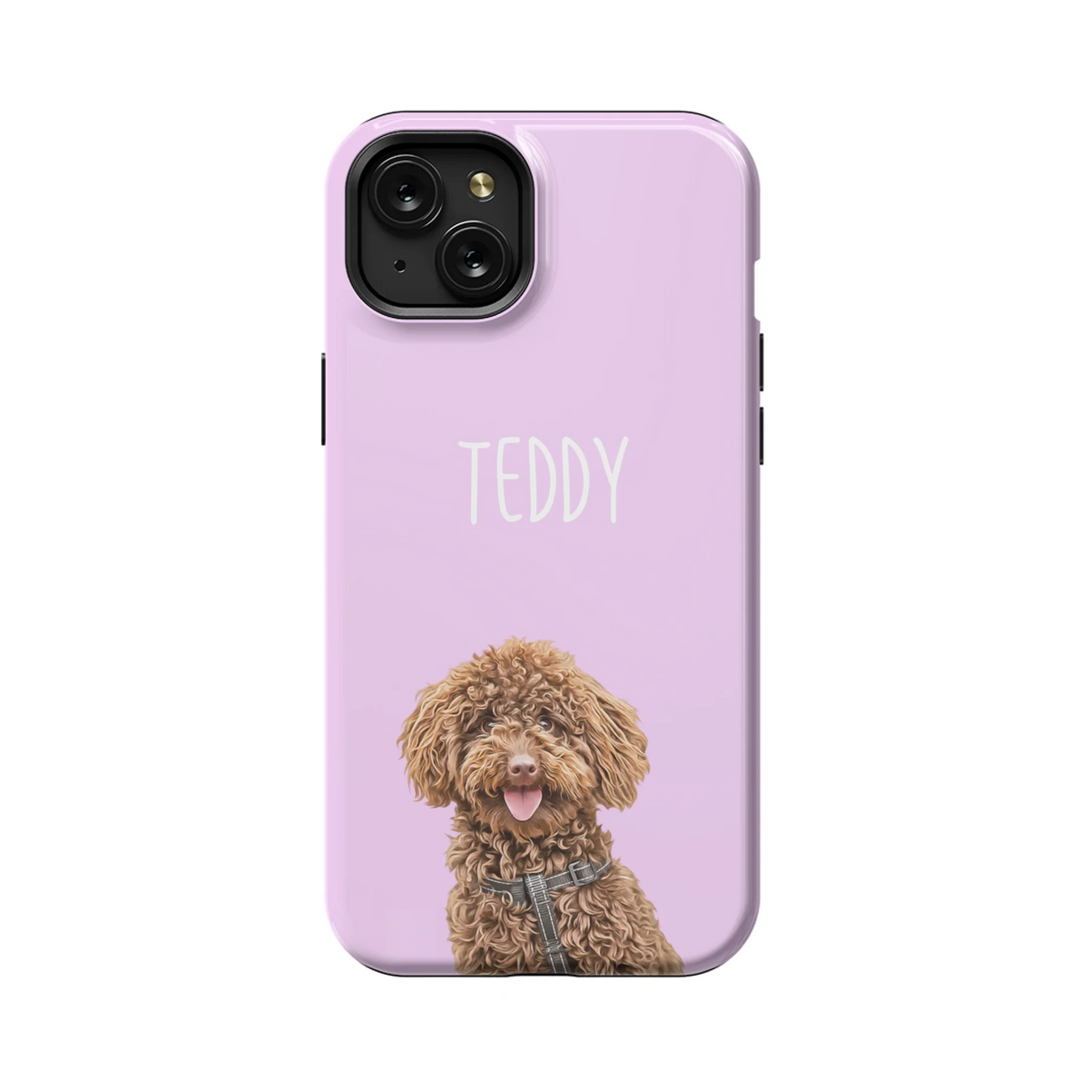 15PLT_Mockup