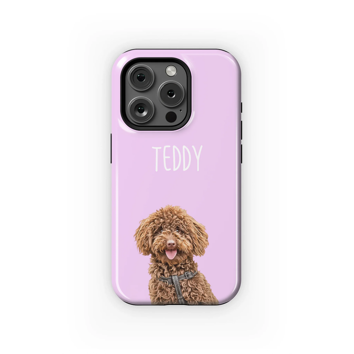 15PT_Mockup
