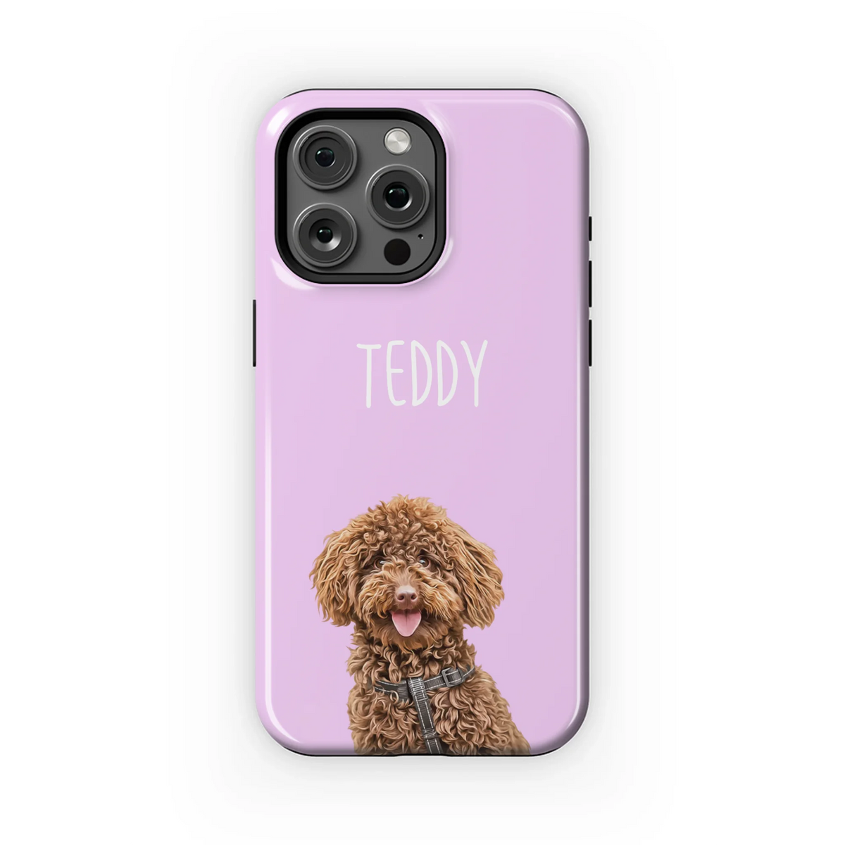 15PMT_Mockup