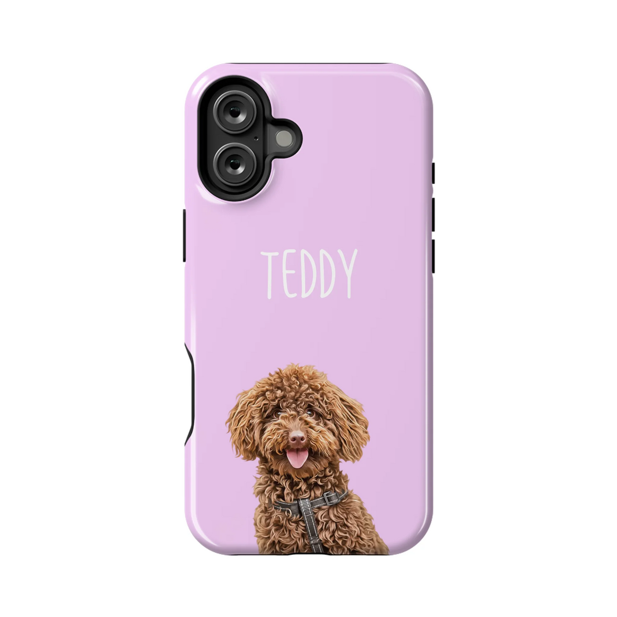 16PLT_Mockup