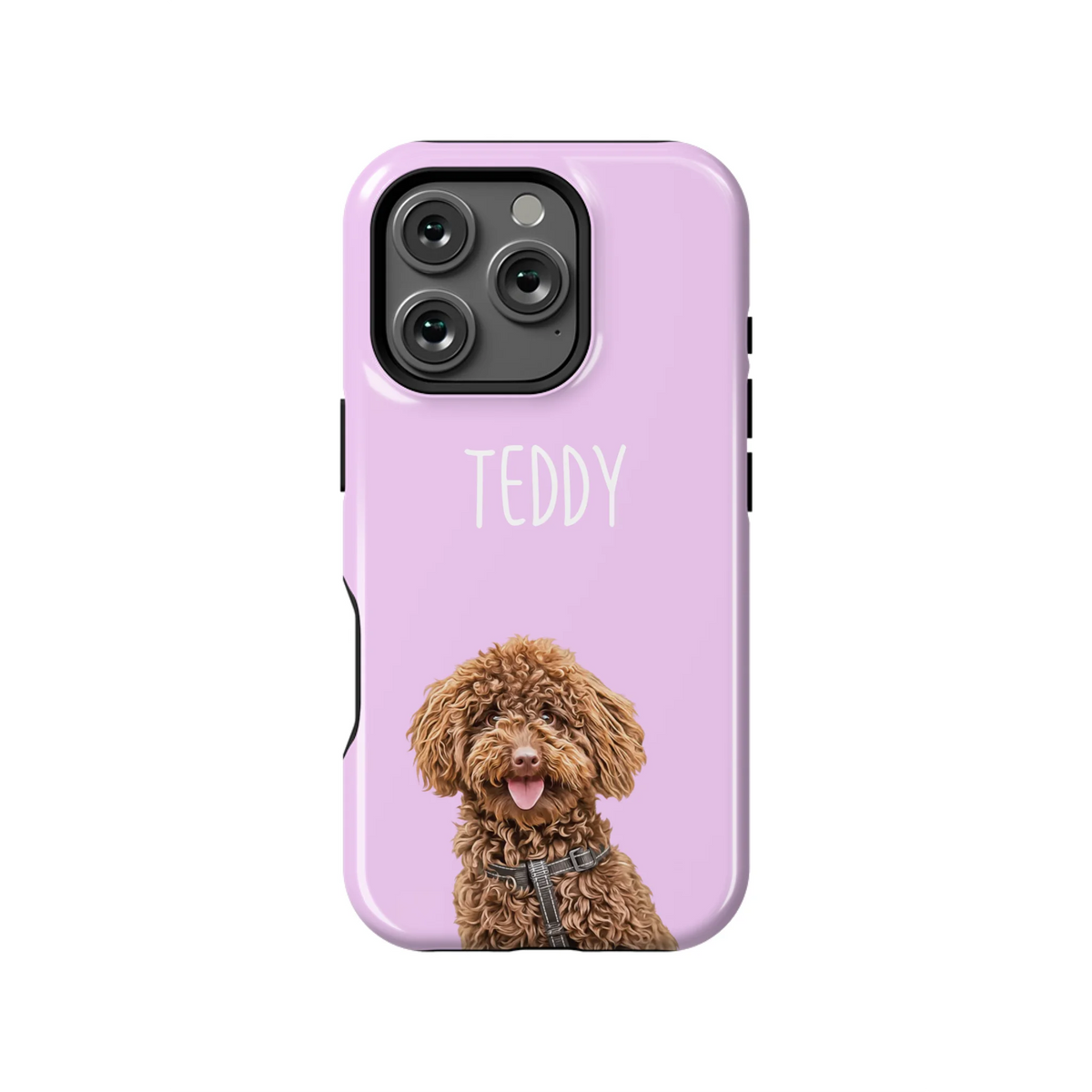 16PT_Mockup