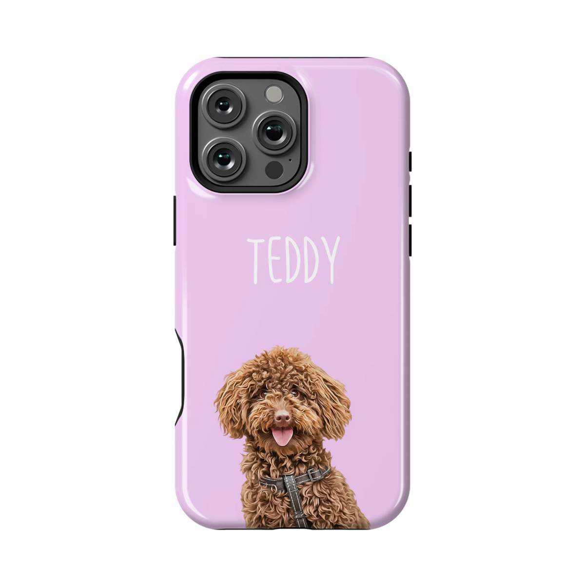 16PMT_Mockup