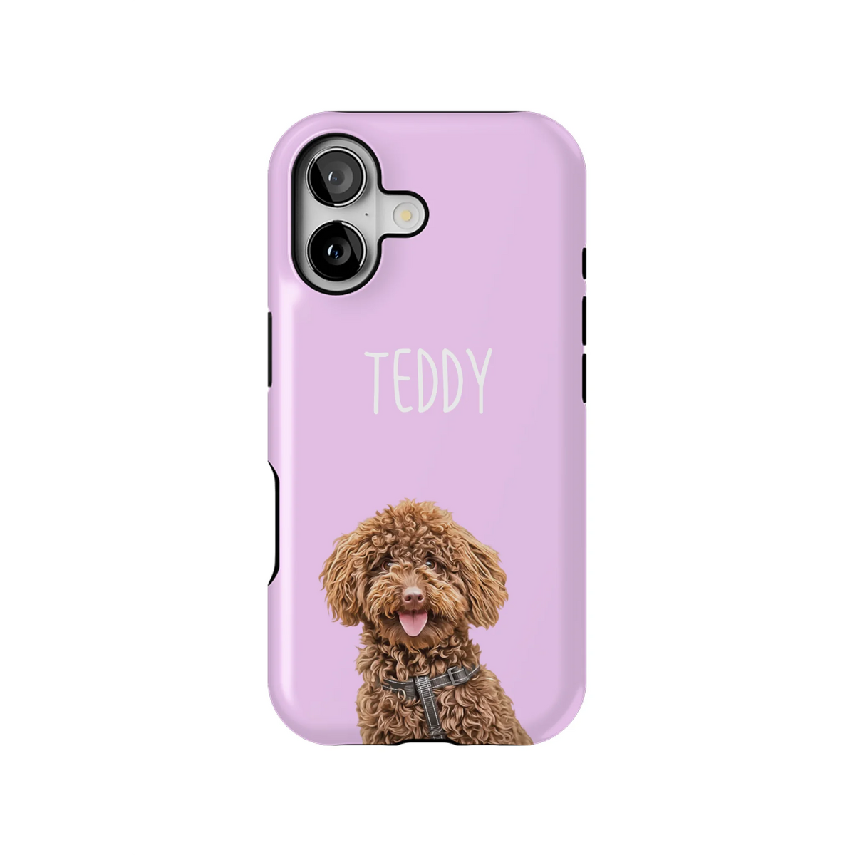 17T_Mockup
