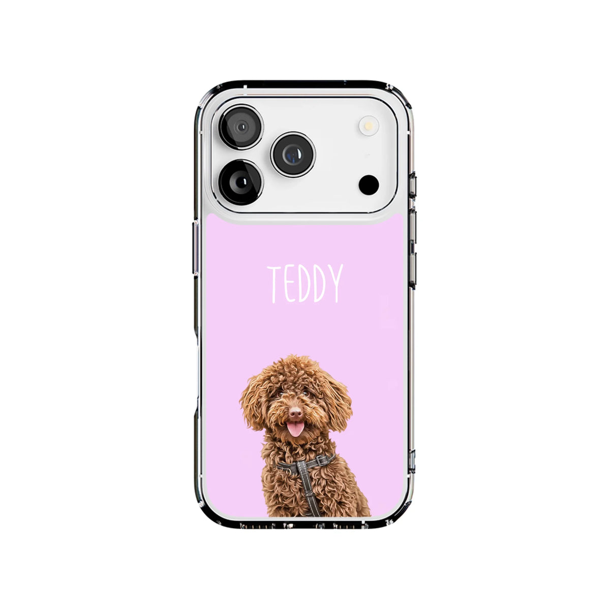 17P-C_Mockup