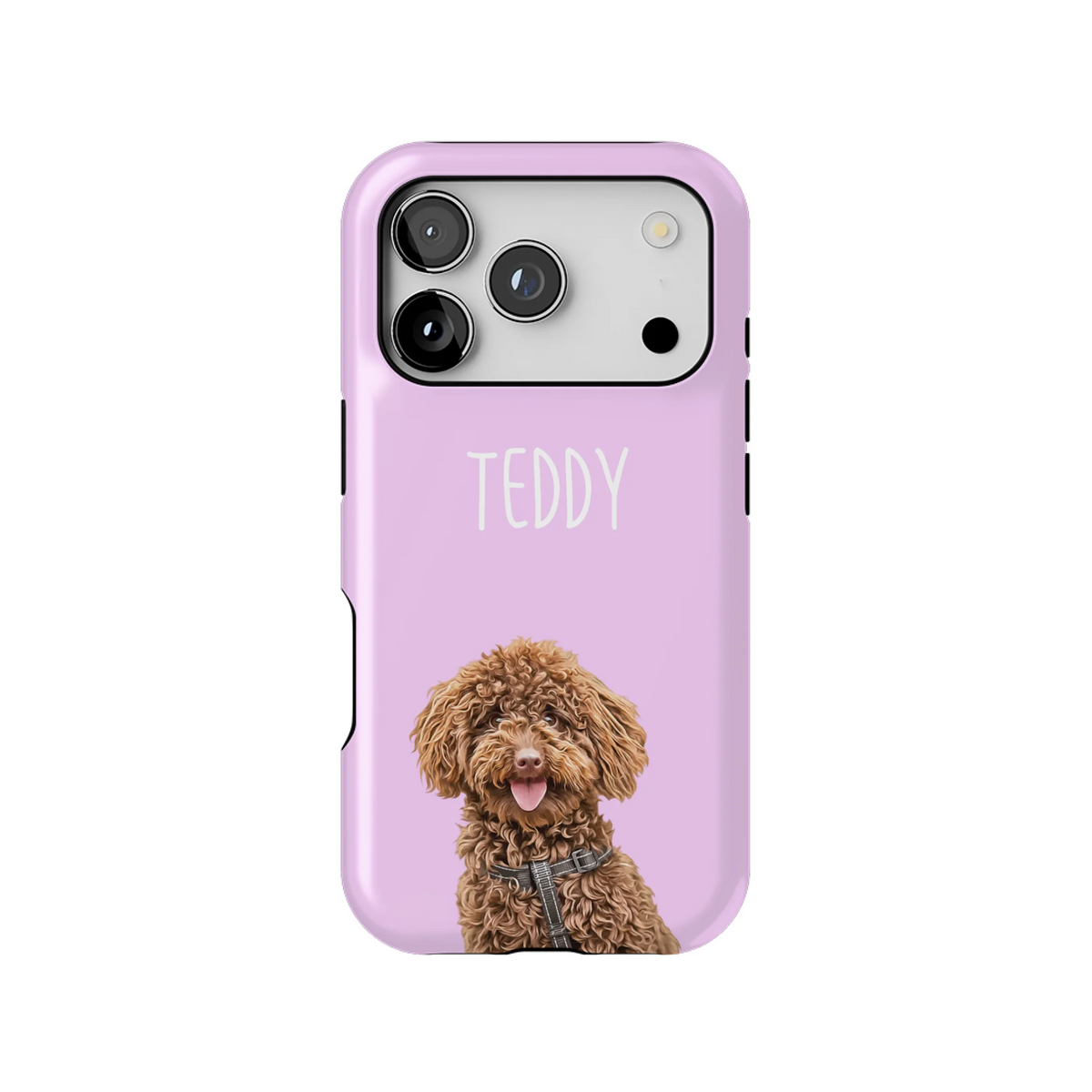 17PT_Mockup