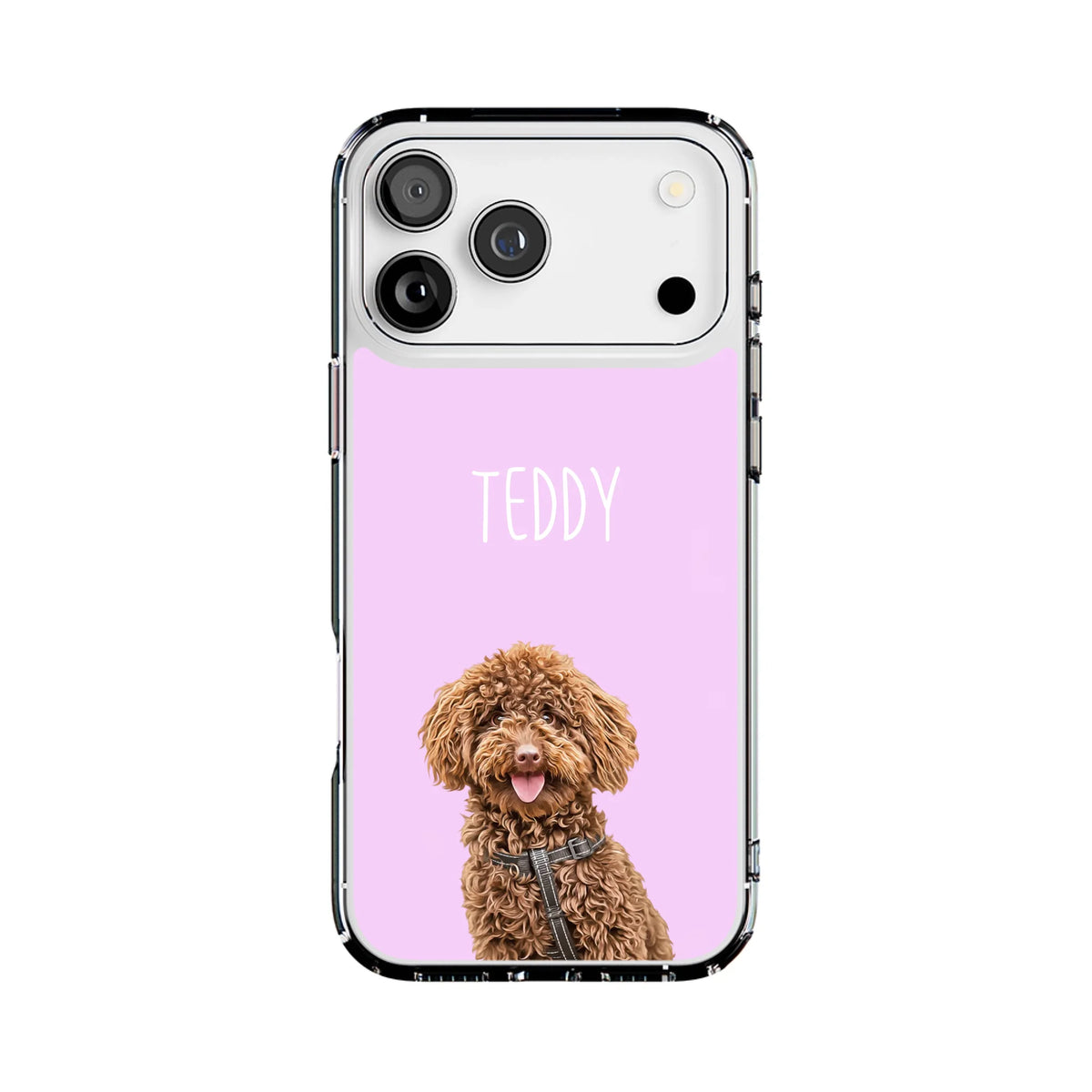 17PM-C_Mockup
