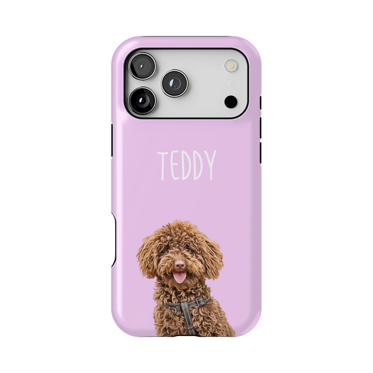 17PMT_Mockup