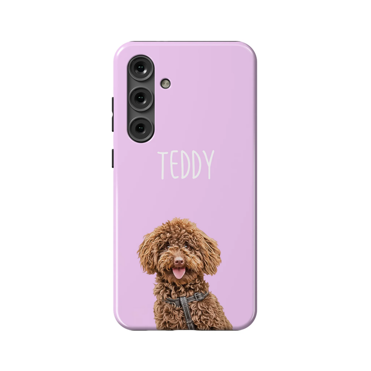 S24PT_Mockup