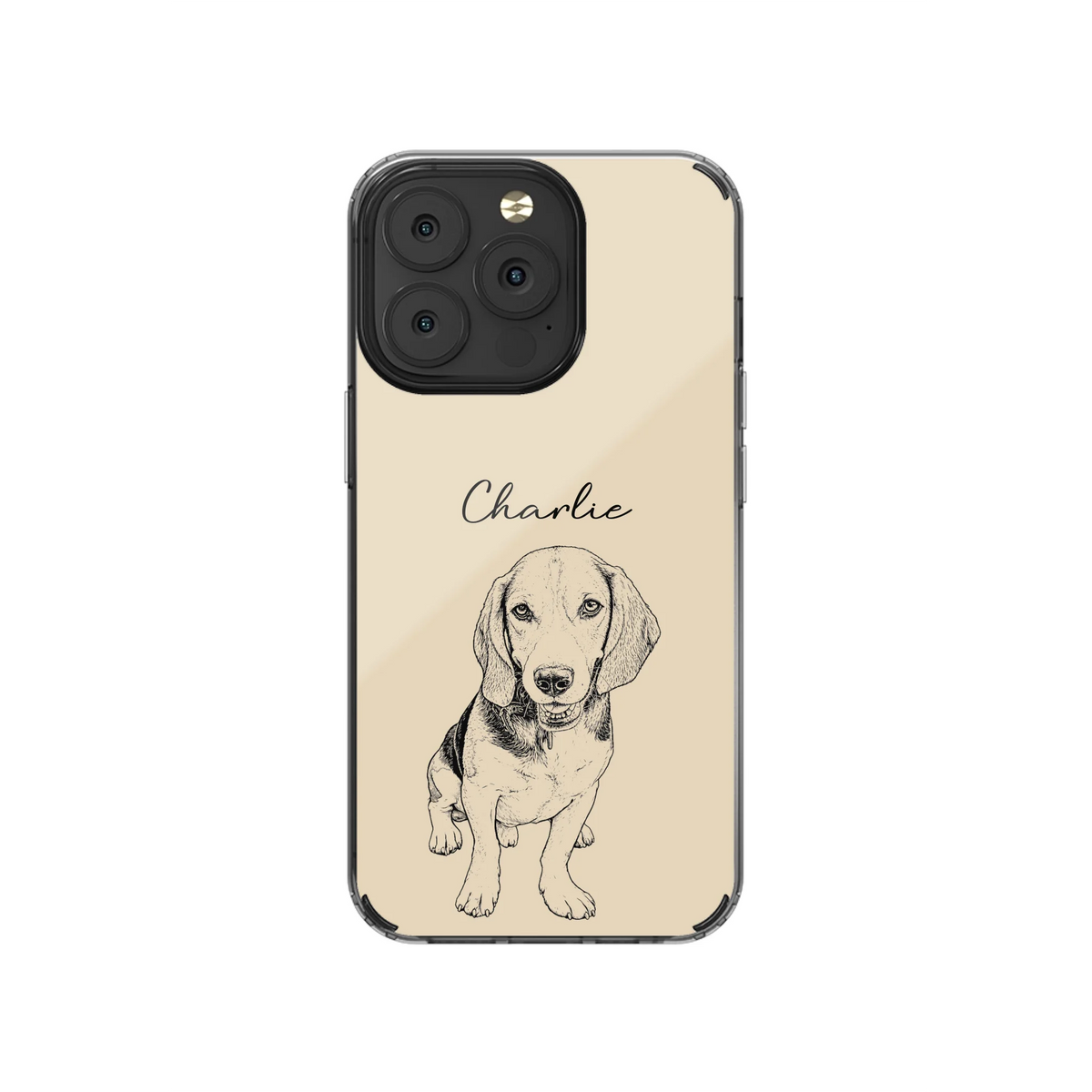13P-C_Mockup
