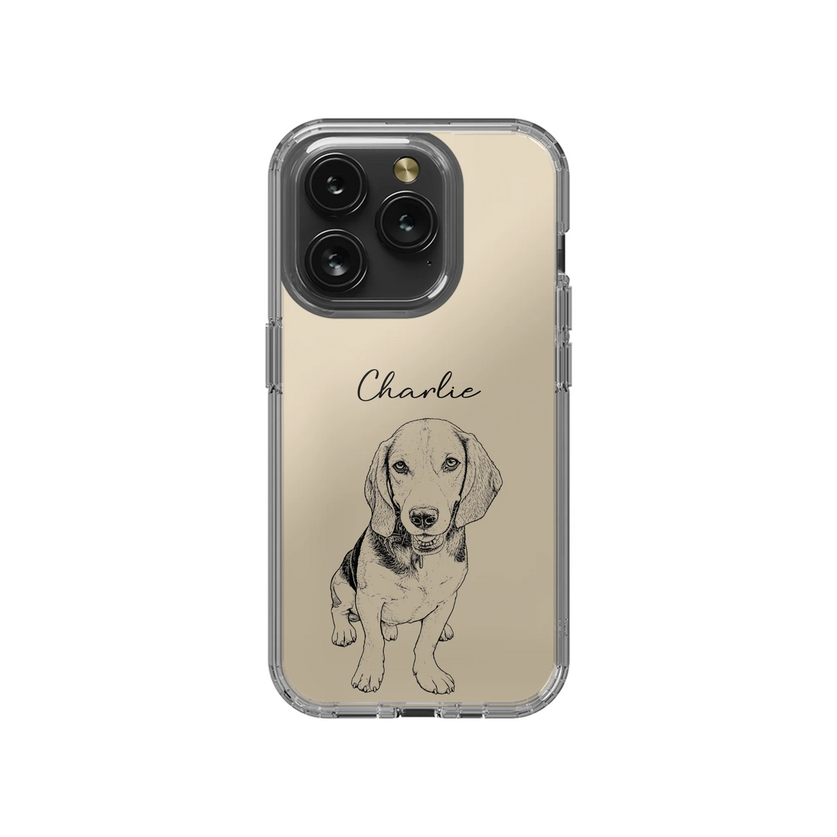 15P-C_Mockup