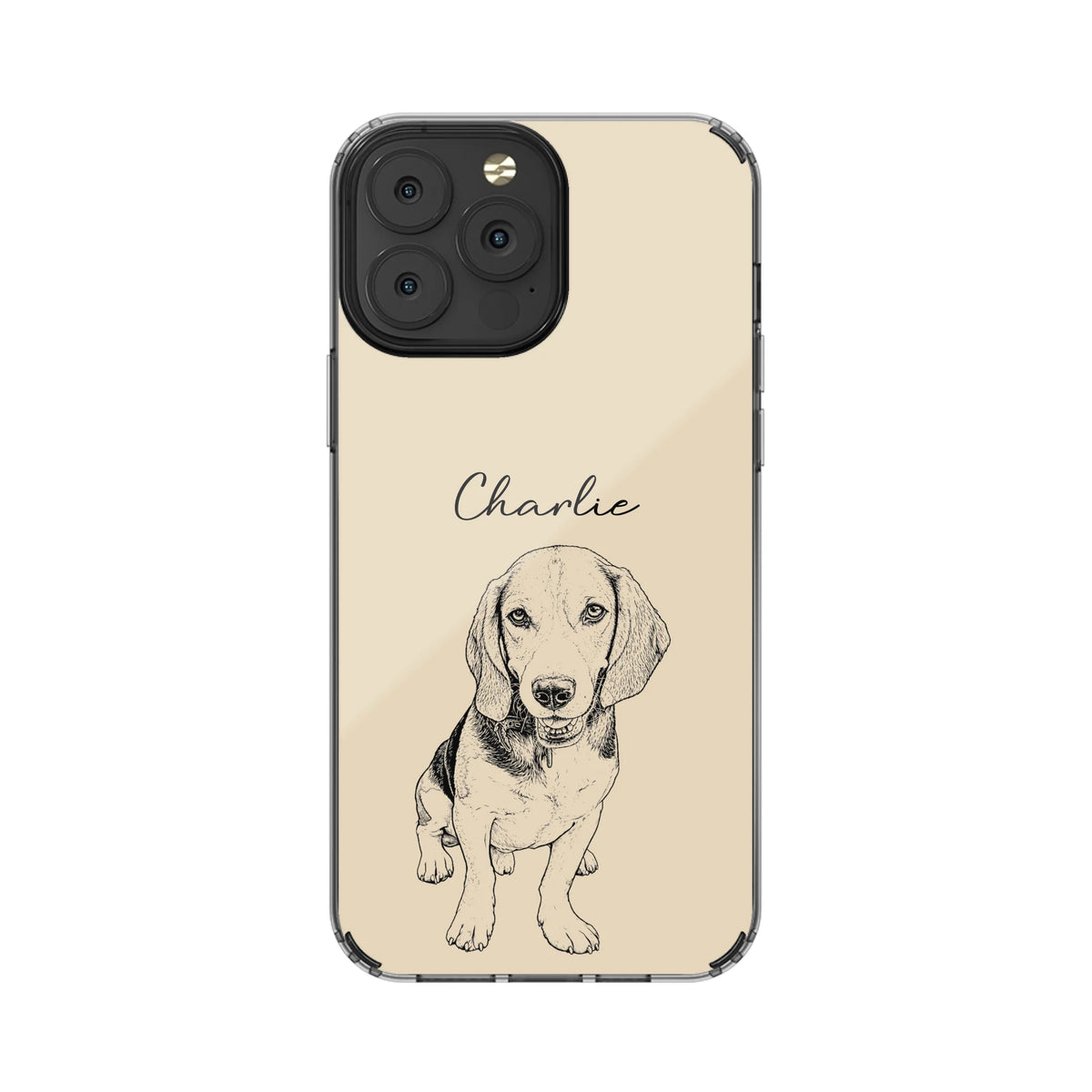 13PM-C_Mockup