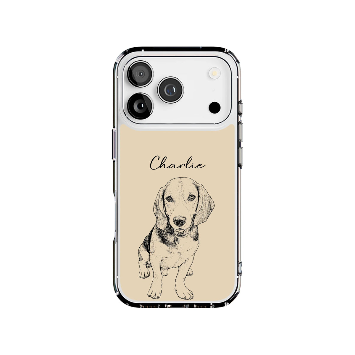 17P-C_Mockup