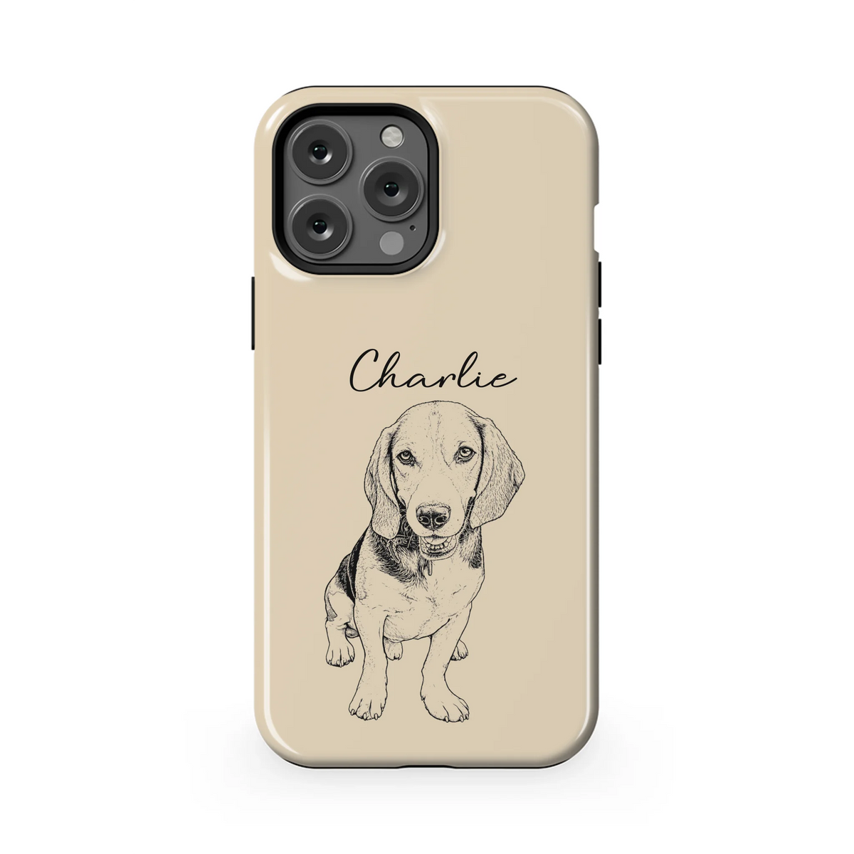 13PMT_Mockup