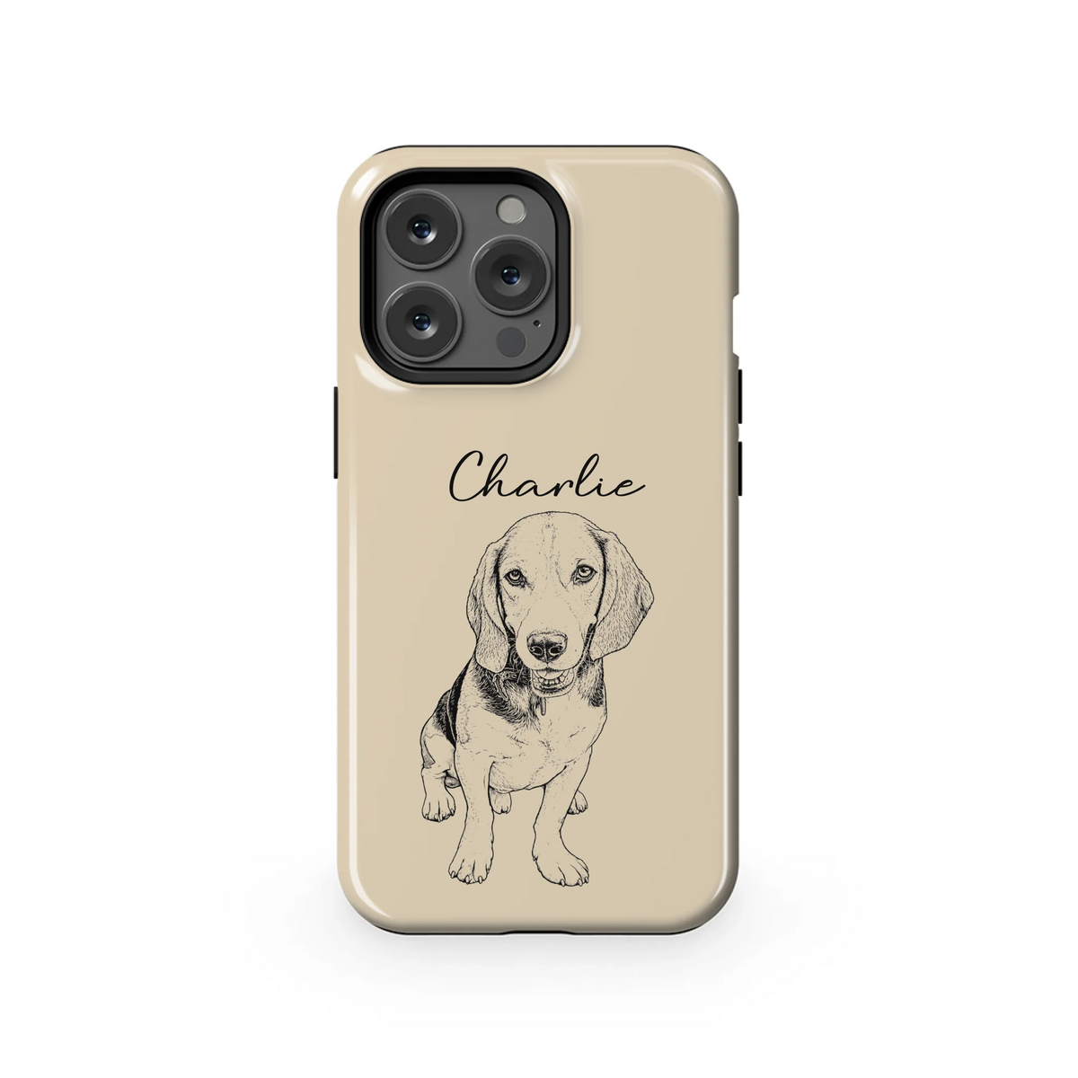 13PT_Mockup