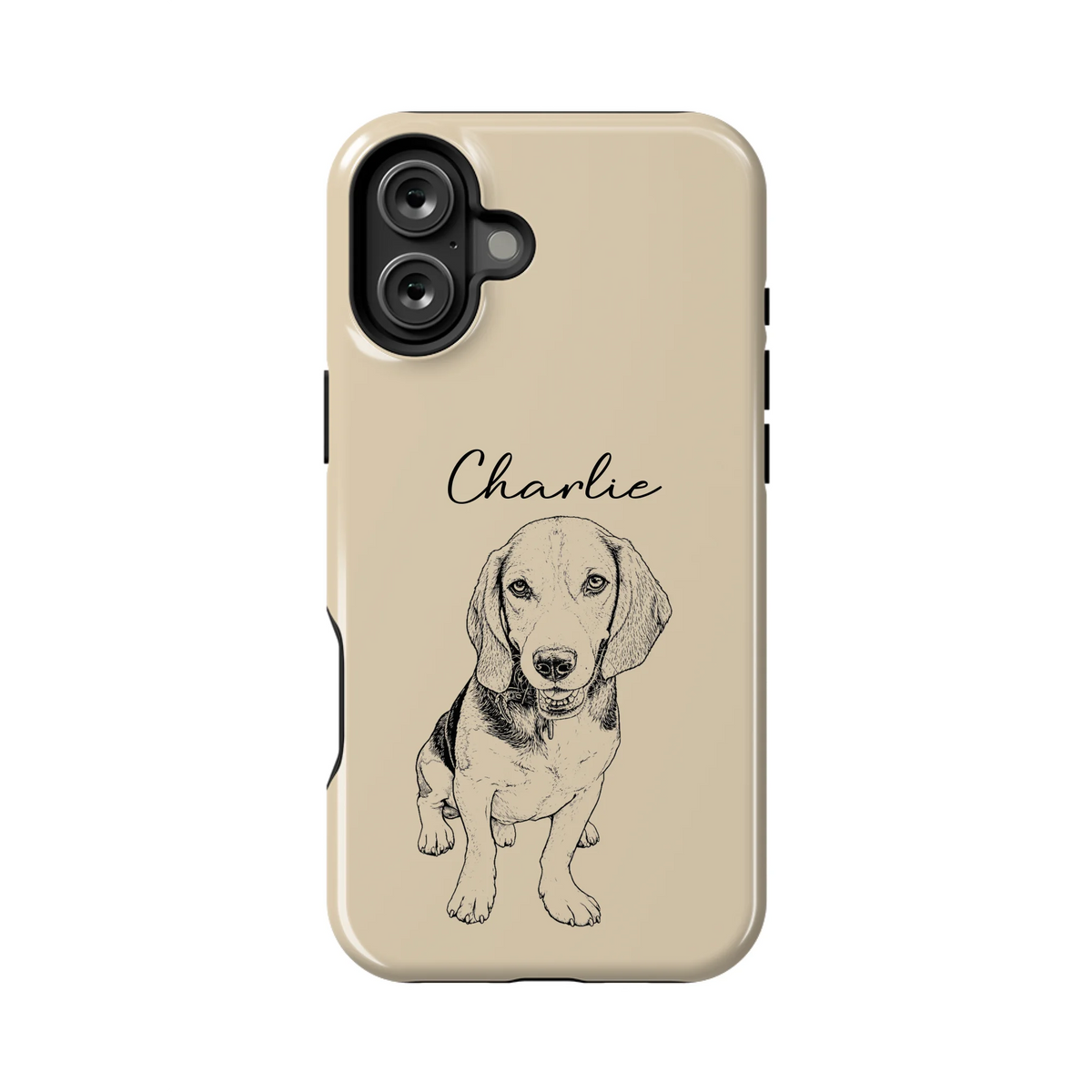 16PLT_Mockup