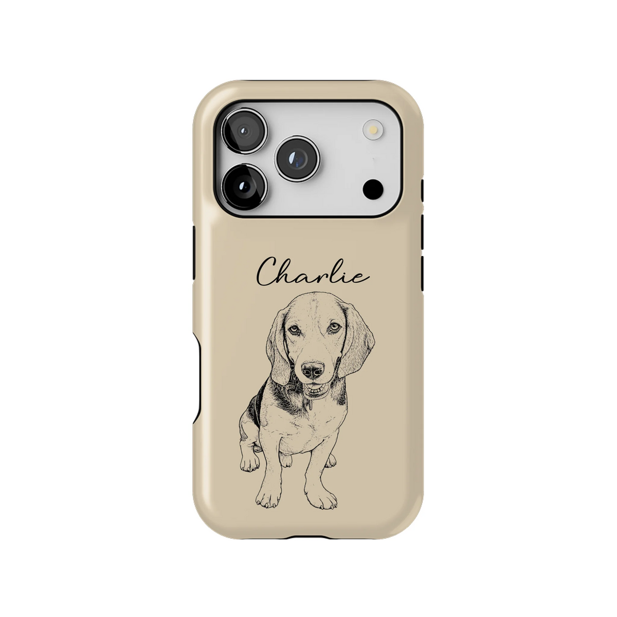 18PT_Mockup