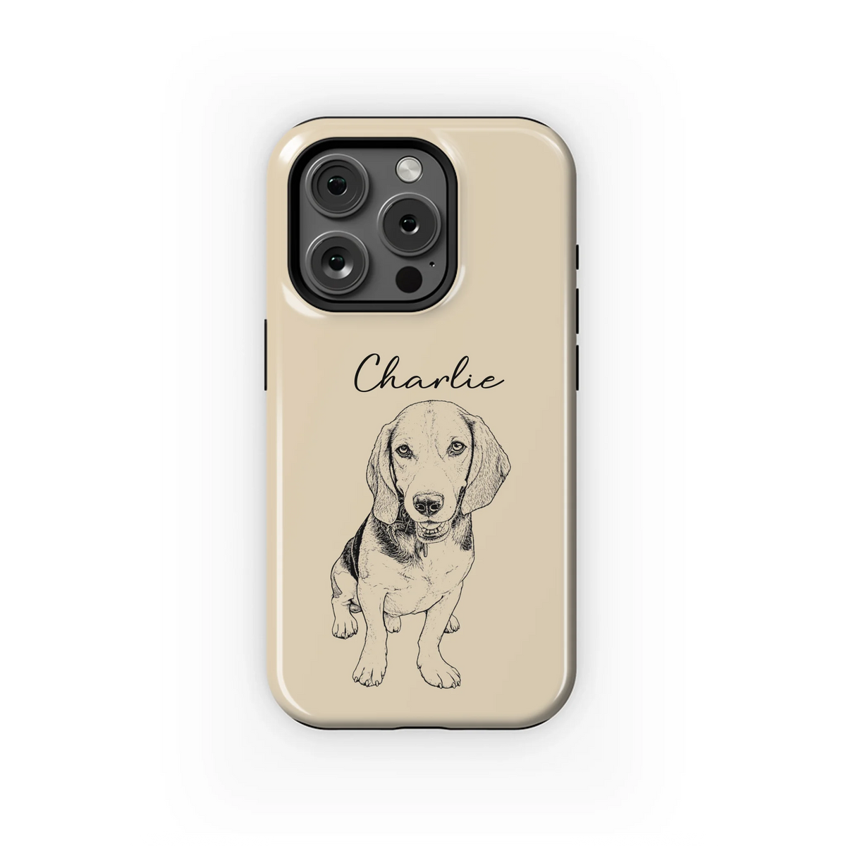 15PT_Mockup