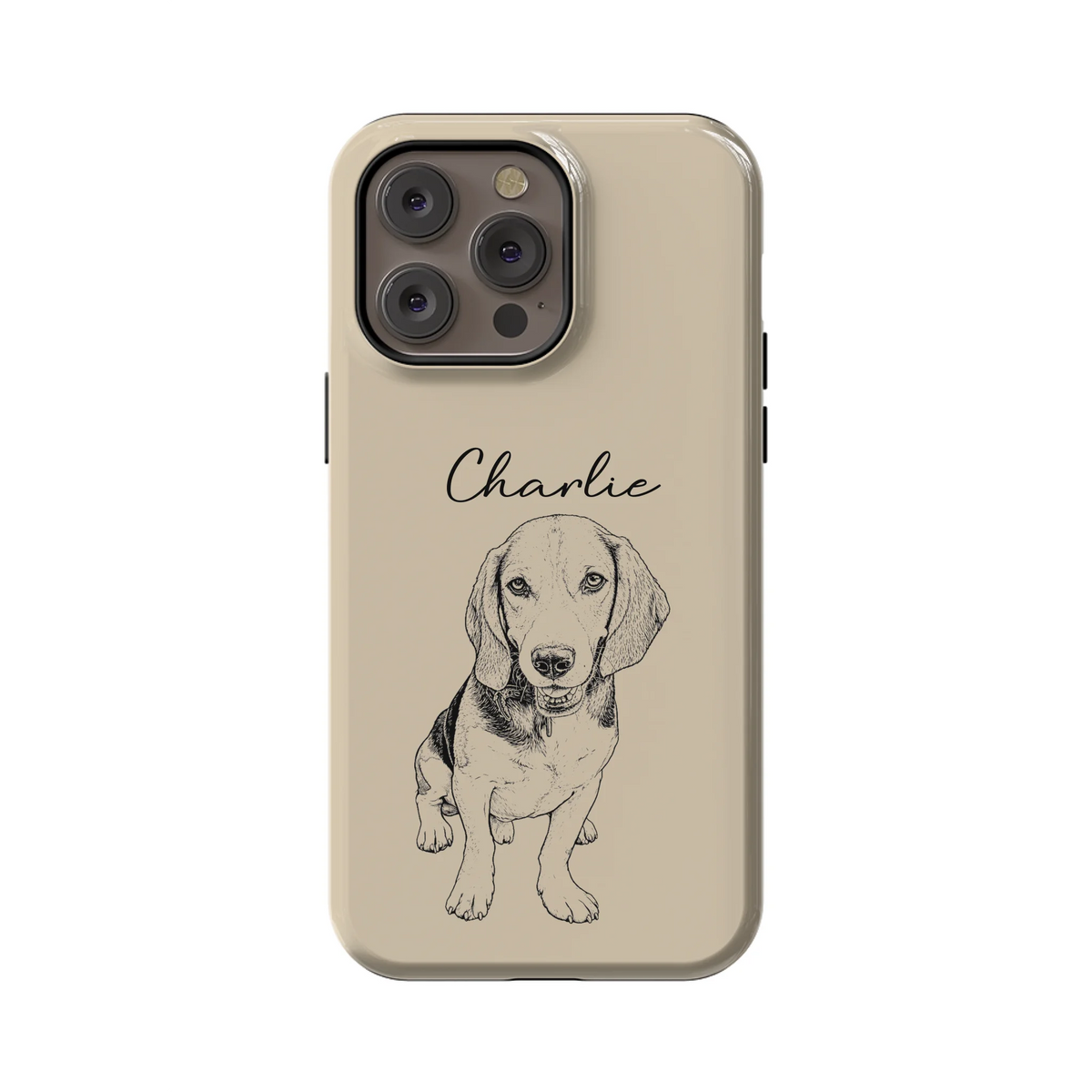 14PMT_Mockup