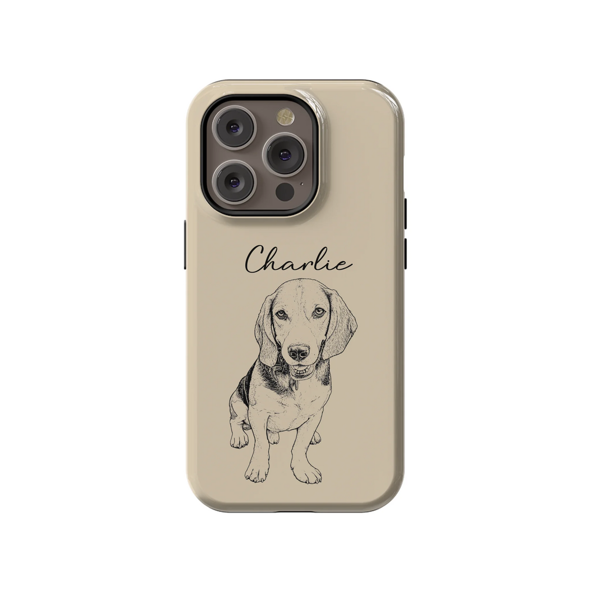 14PT_Mockup