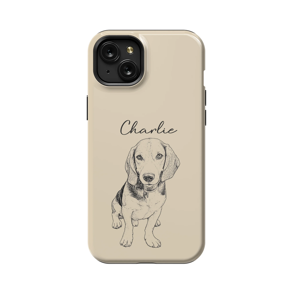 15PLT_Mockup