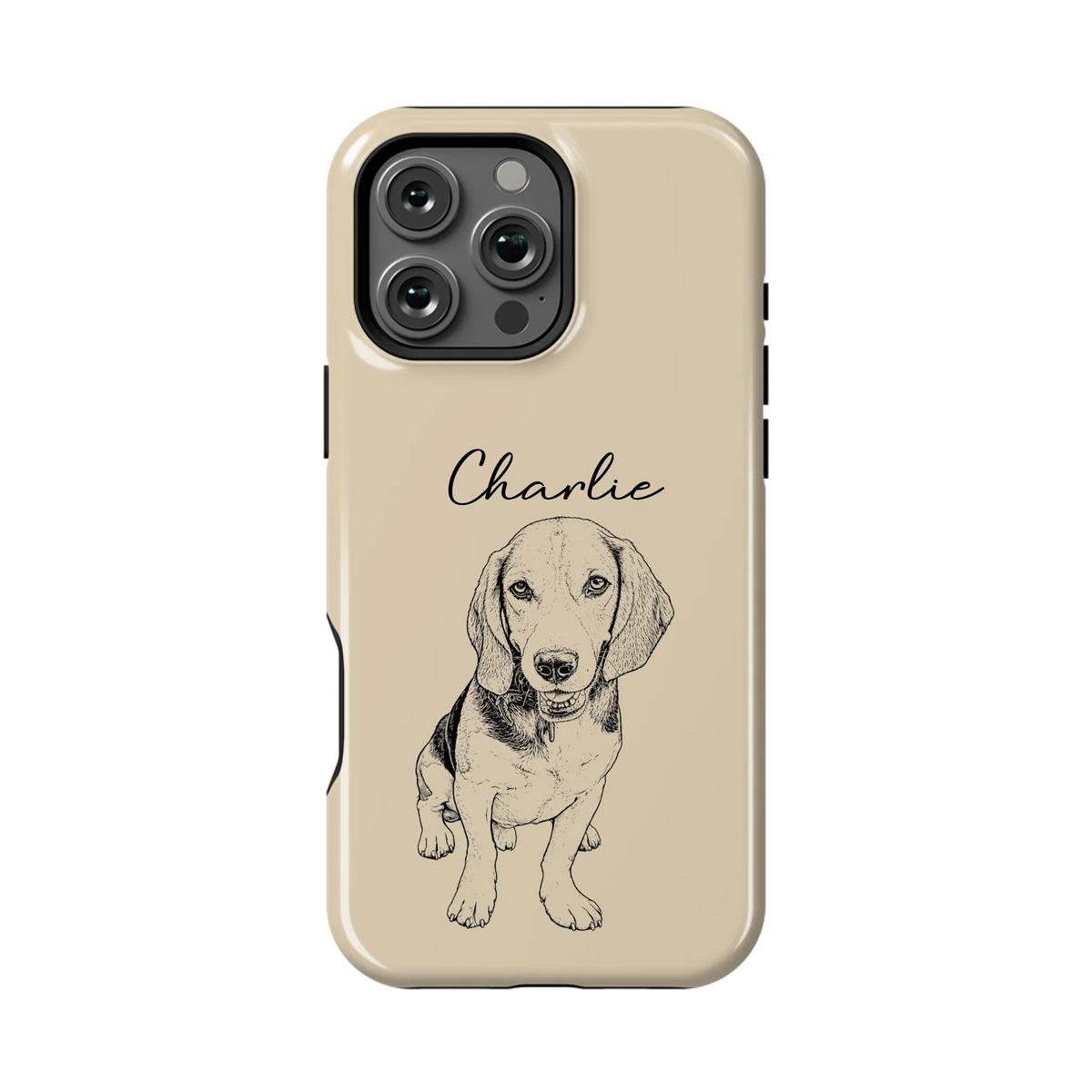 16PMT_Mockup