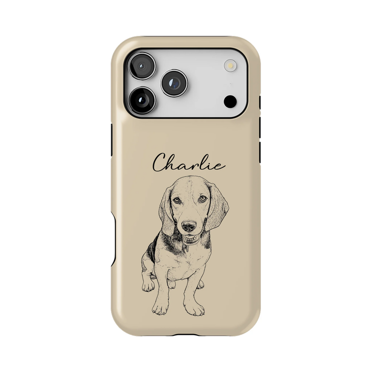 17PMT_Mockup