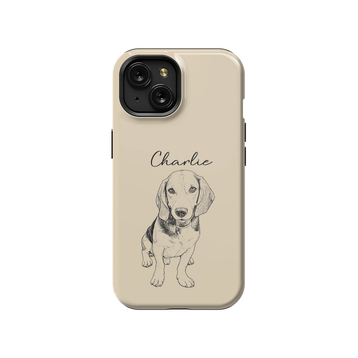 15T_Mockup