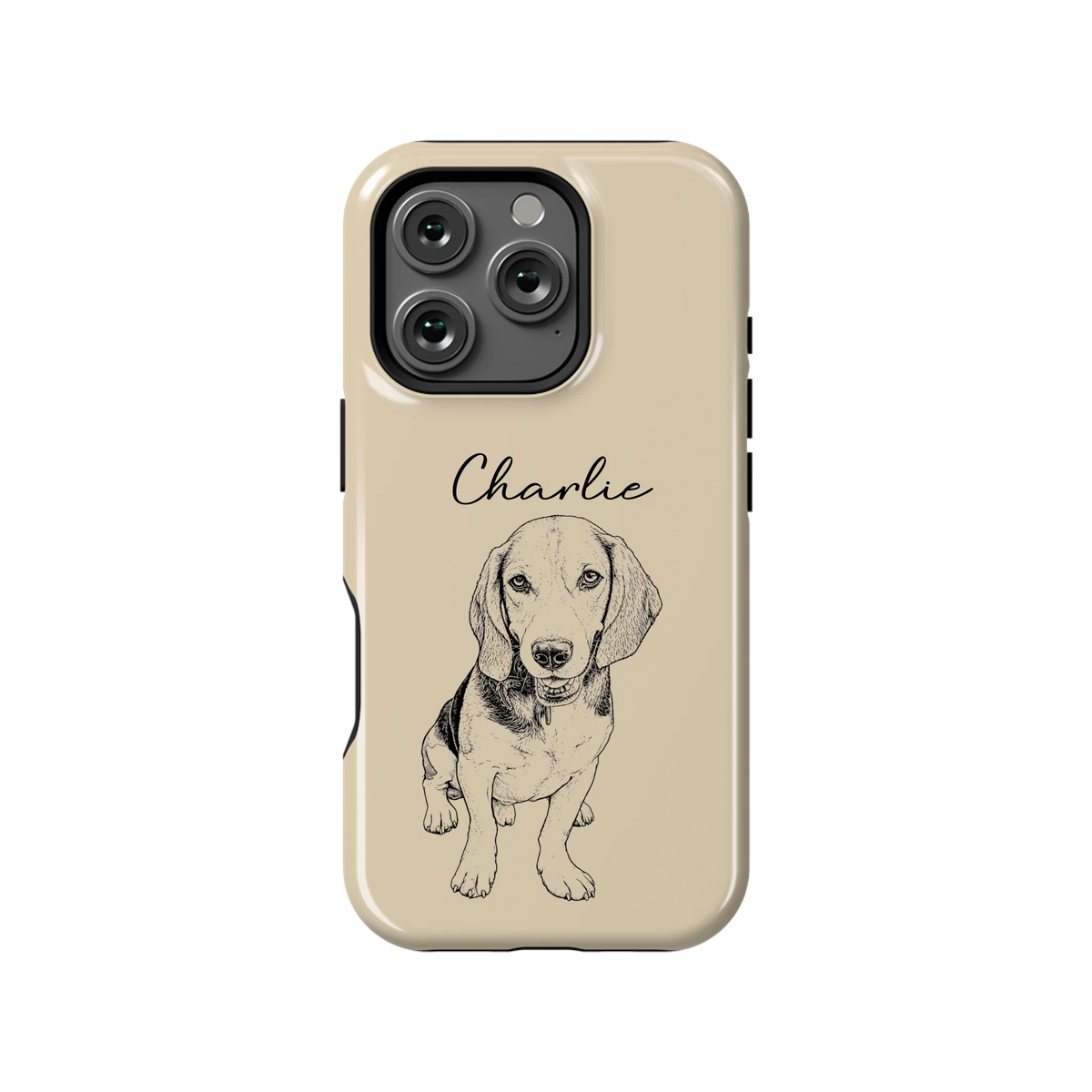 16PT_Mockup