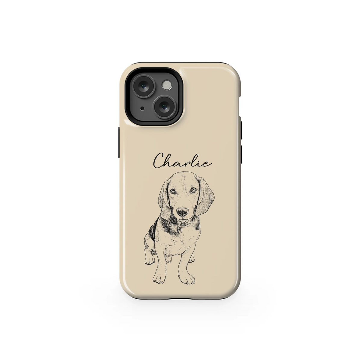 13MT_Mockup