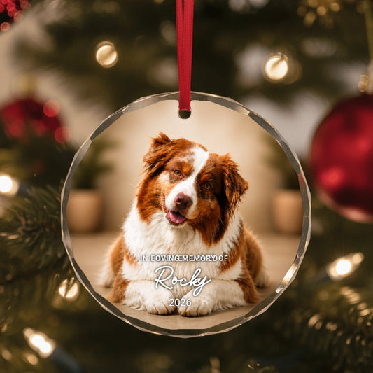 Glass Ornament US SHOP circle