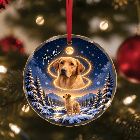 Glass Ornament US SHOP circle