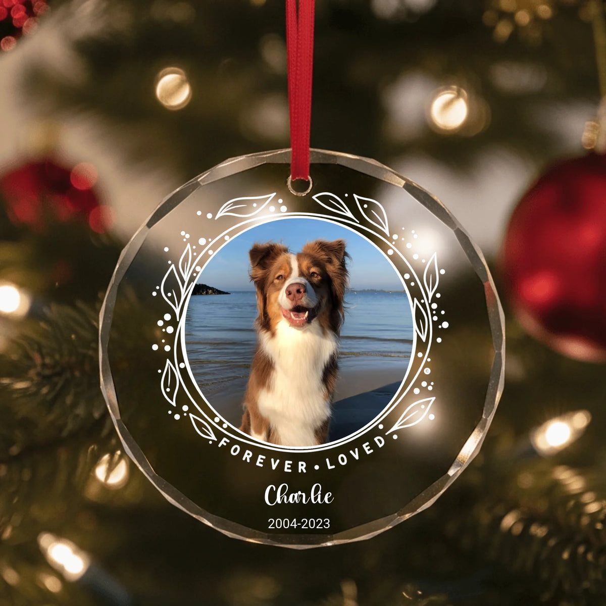 Glass Ornament US SHOP circle