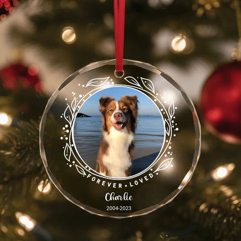 Personalized Ornament - Clear Glass Pet Memorial - Featured Image