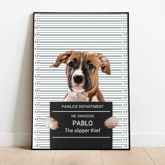 Personalized Poster - Mugshot