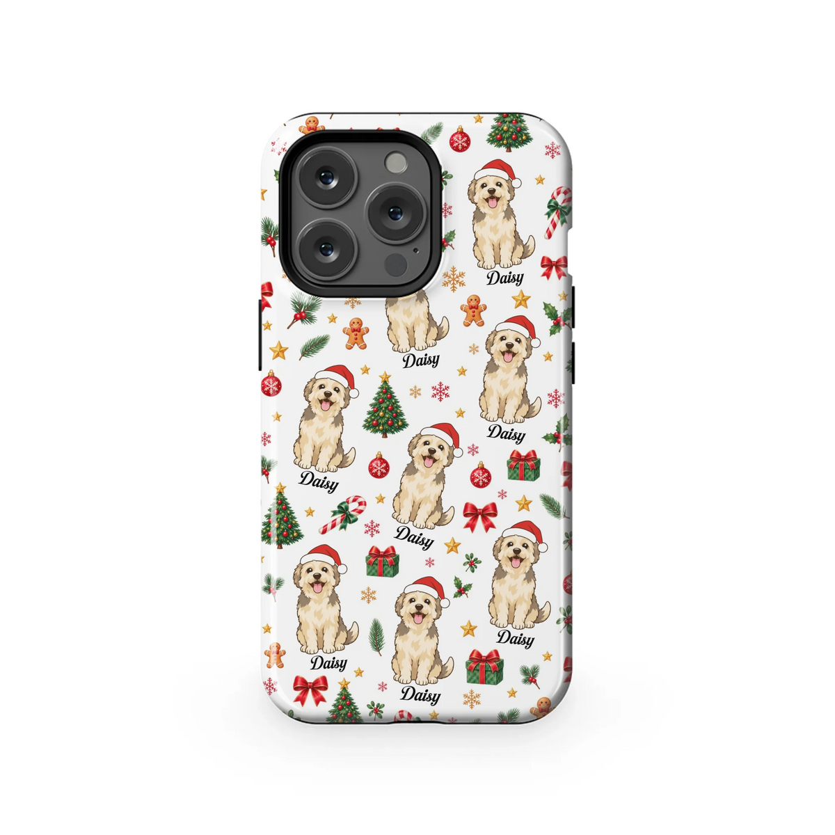 13PT_Mockup