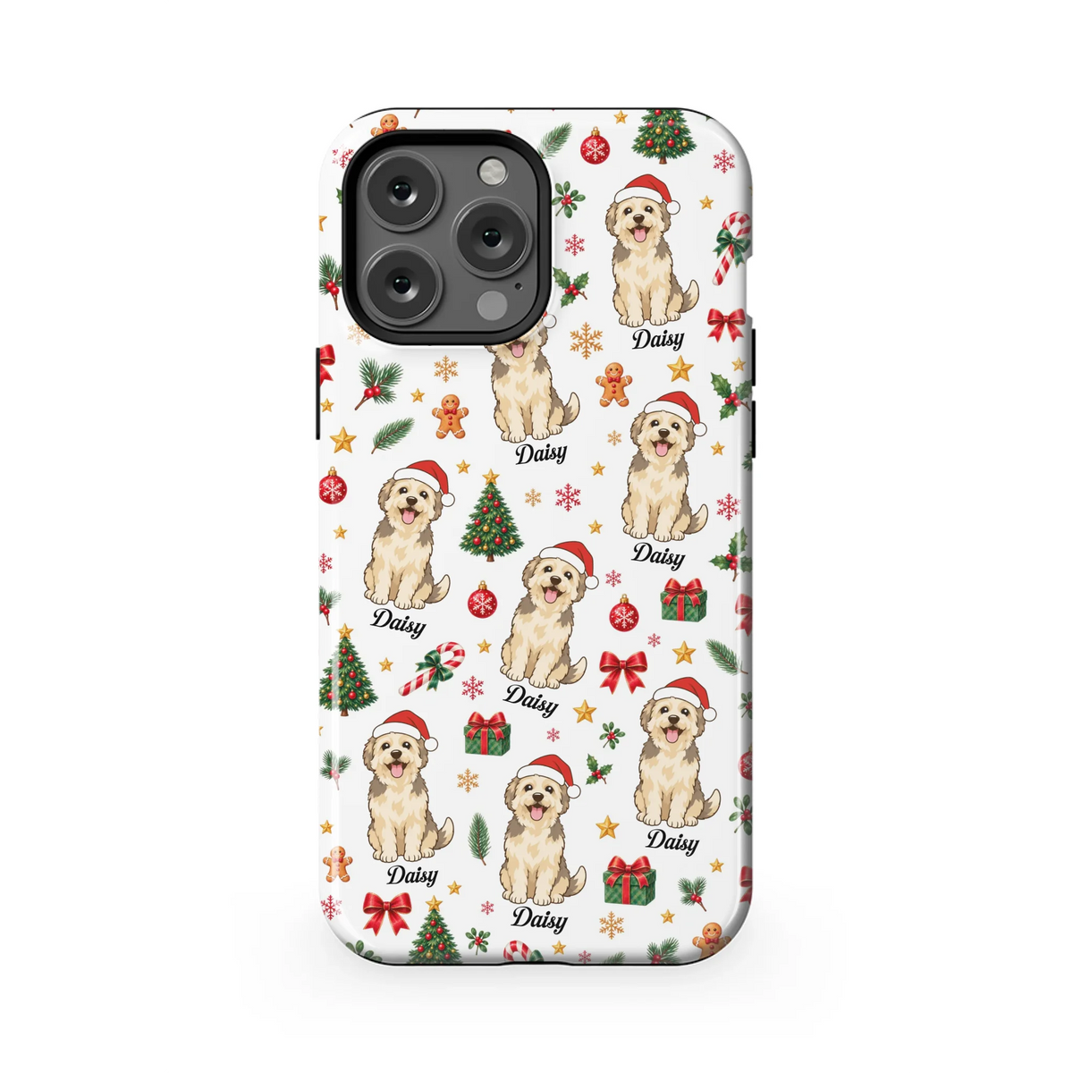 13PMT_Mockup