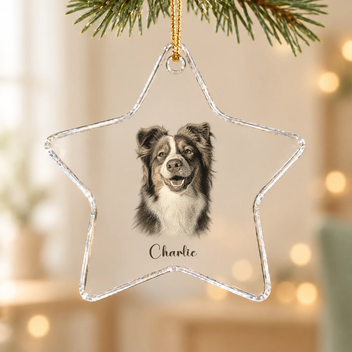 Star Glass Ornament SHOP Back