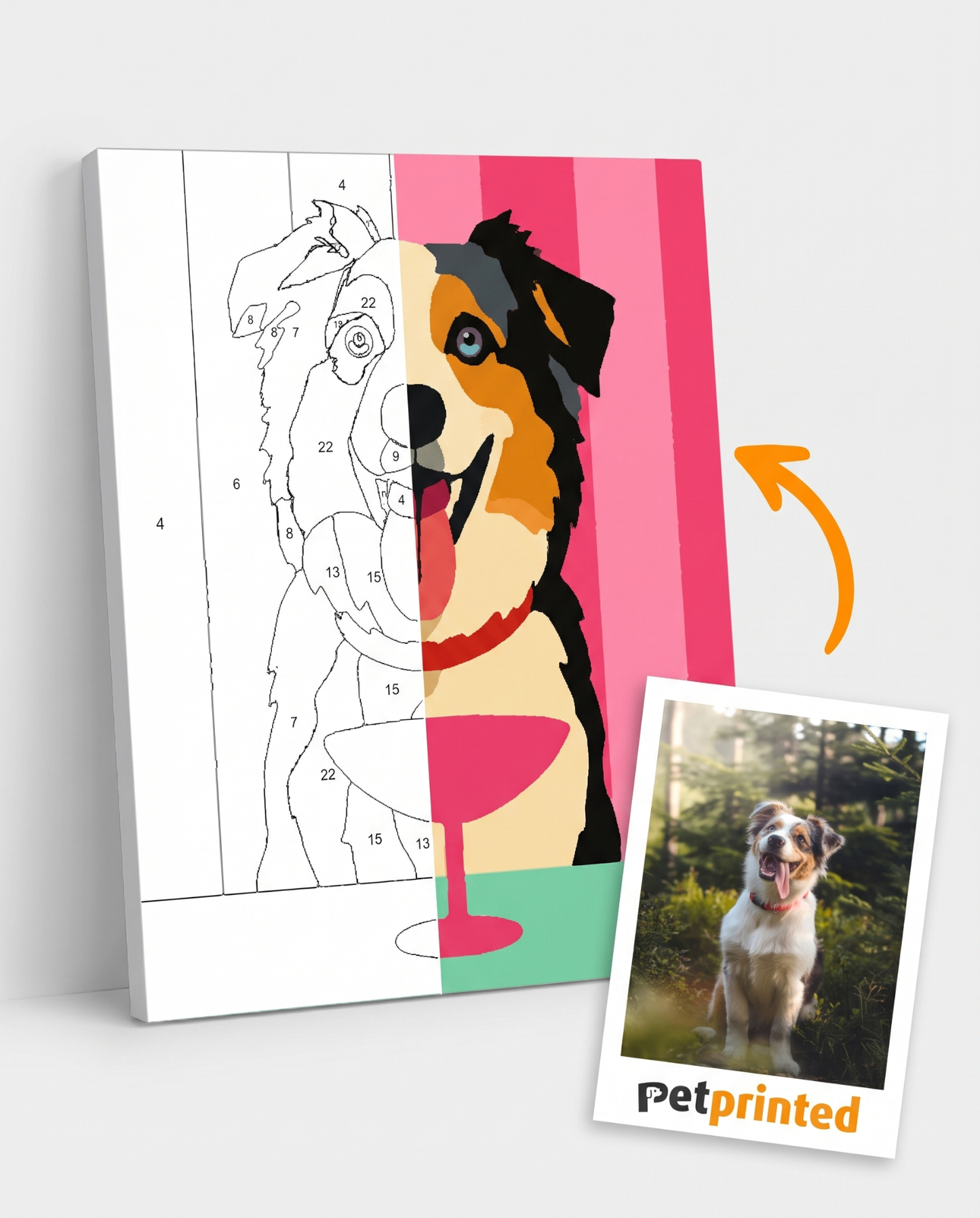 Custom Pet Paint-by-Numbers Kit